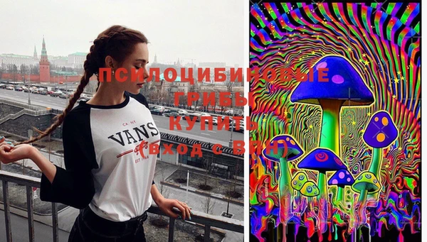 экстази Богородск