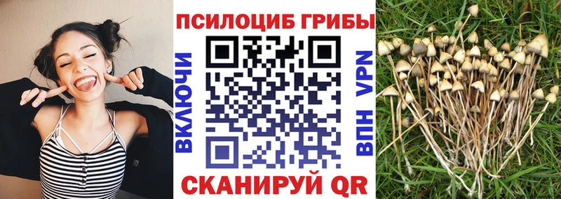 ОМГ ОМГ ссылка  Назарово  Псилоцибиновые грибы ЛСД 